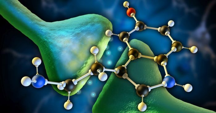 Zespół Serotoninowy Objawy Ile Trwa Leczenie Ppz 6045